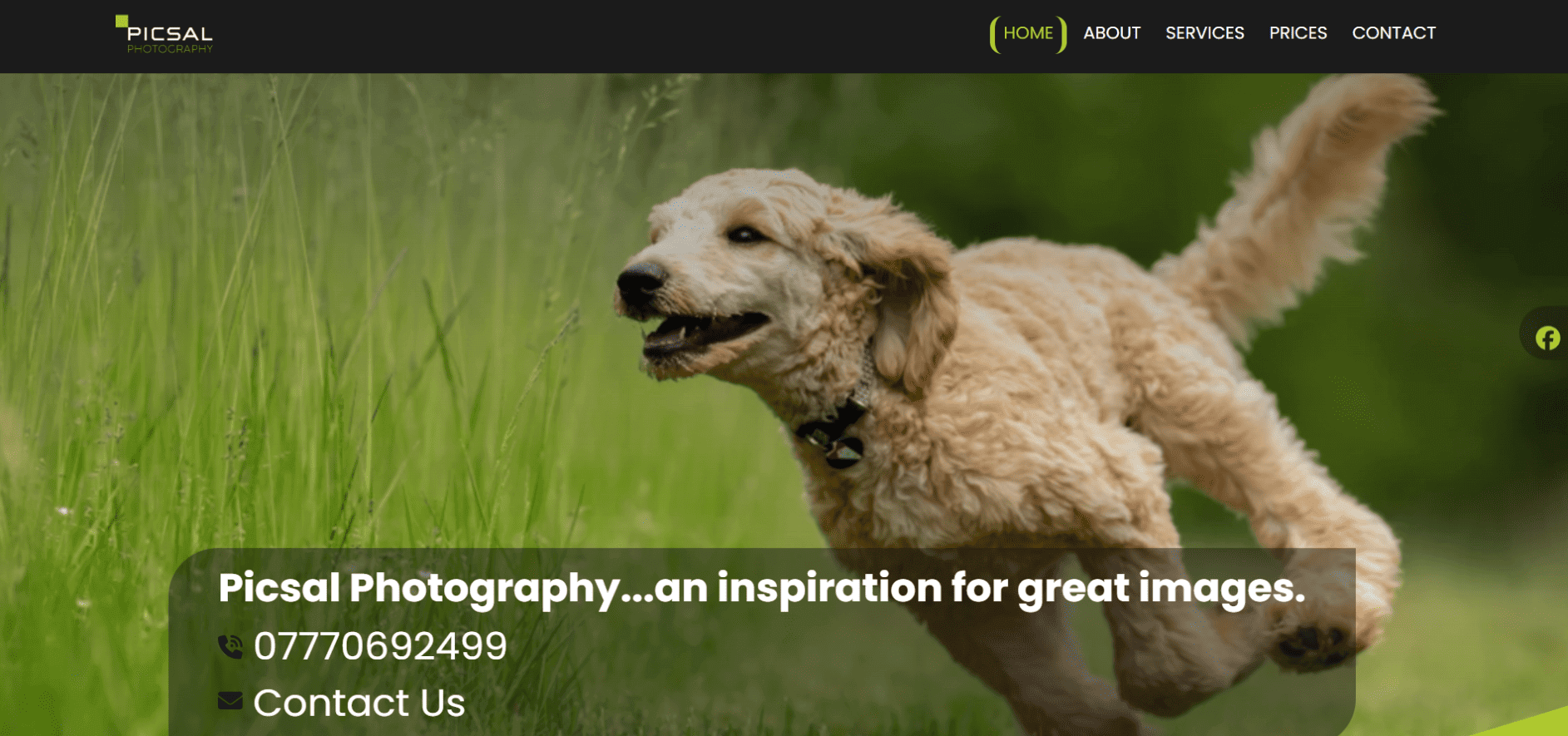 PICSAL PHOTOGRAPHY
